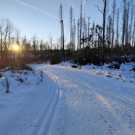 Villa Blockhouse Braunlage
